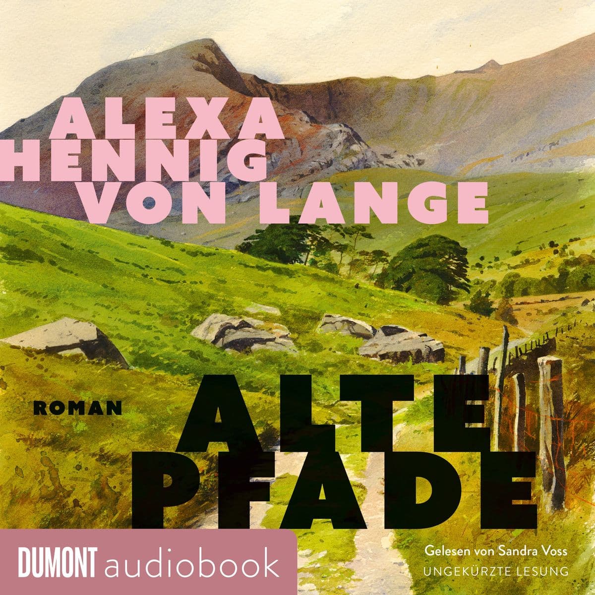 Alte Pfade: Roman