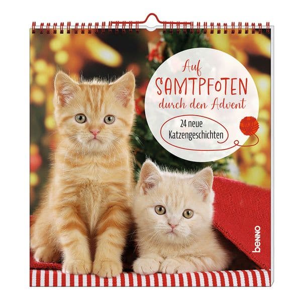 Auf Samtpfoten durch den Advent: 24 neue Katzengeschichten