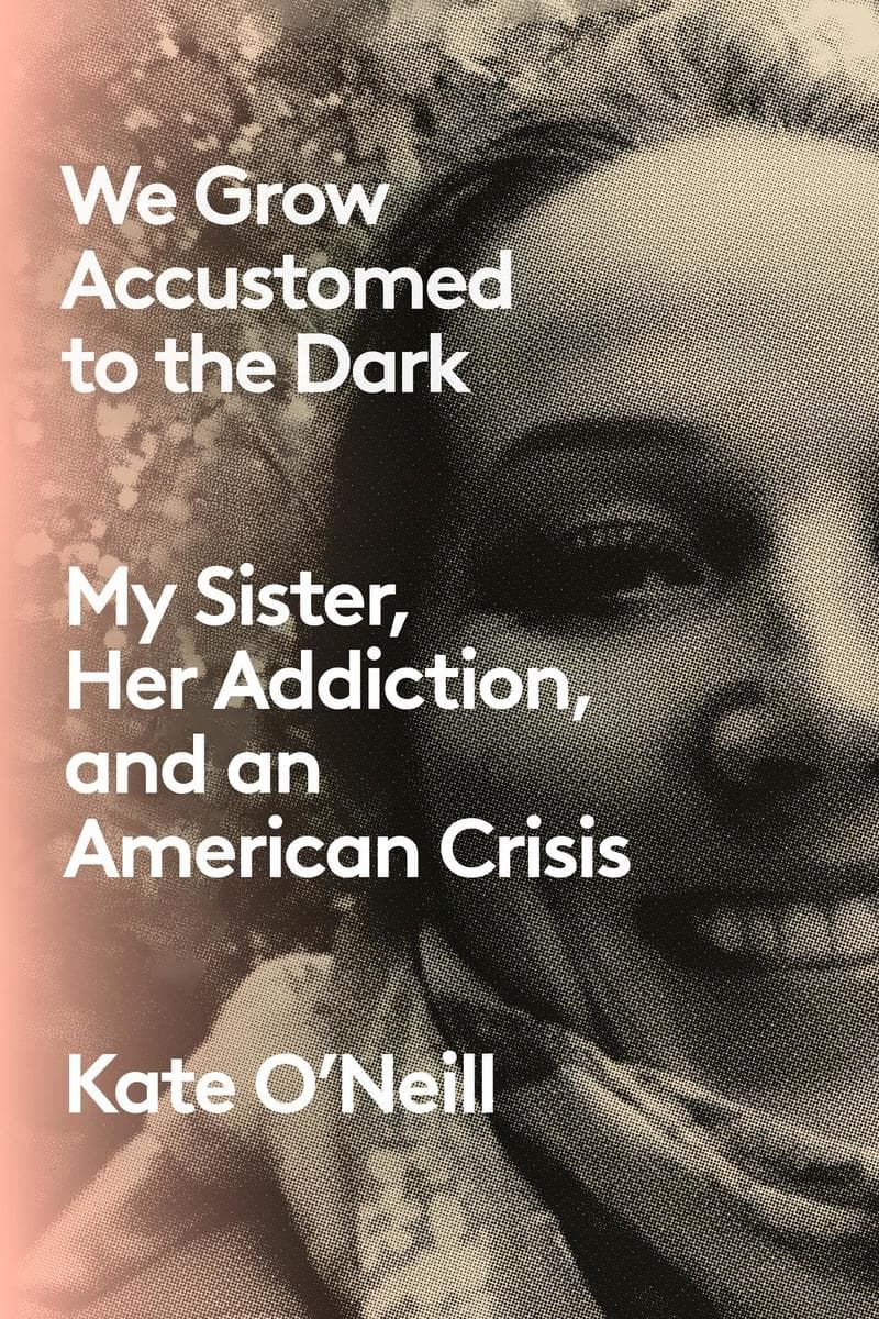 We Grow Accustomed to the Dark: My Sister, Her Addiction, and an American Crisis