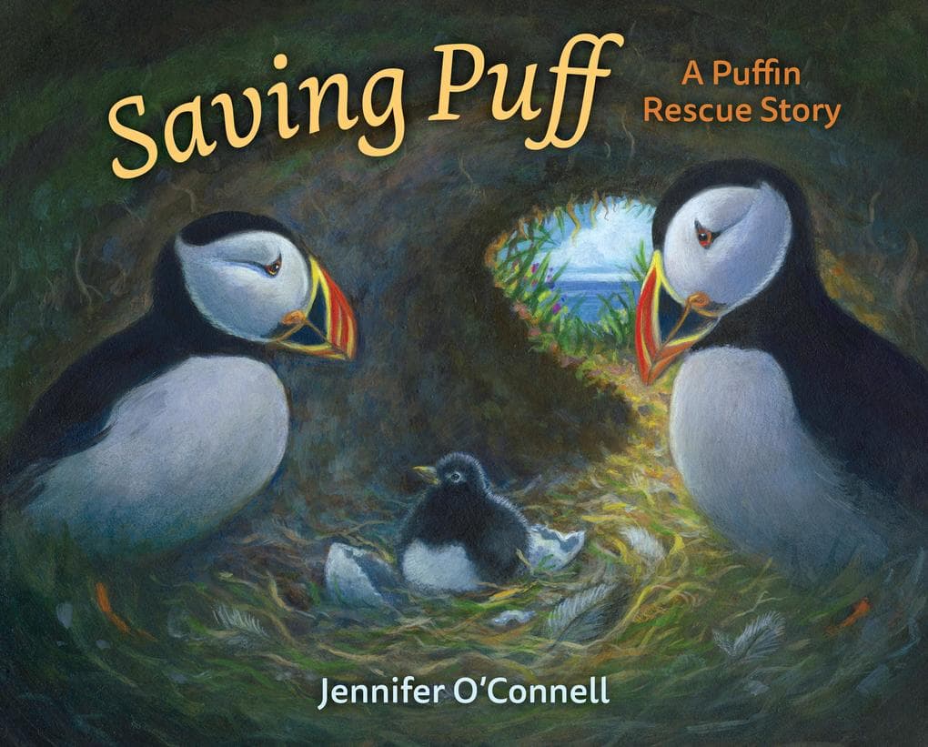 Saving Puff: A Puffin Rescue Story