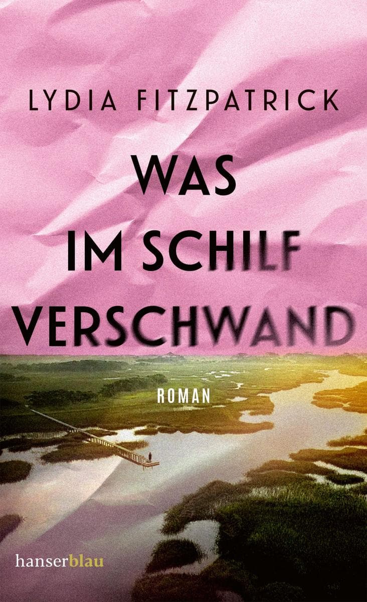 Was im Schilf verschwand: Roman