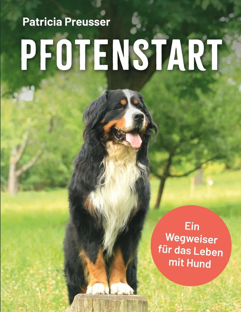 Pfotenstart: Ein Wegweiser für das Leben mit Hund