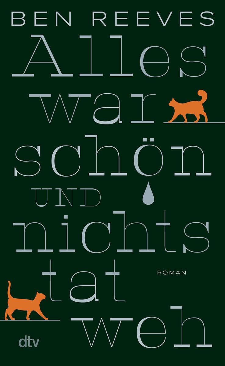 Alles war schön und nichts tat weh: Roman