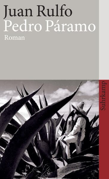 Pedro Páramo: Roman. Ausgezeichnet mit dem Premio Alfaguara de Novela 1974