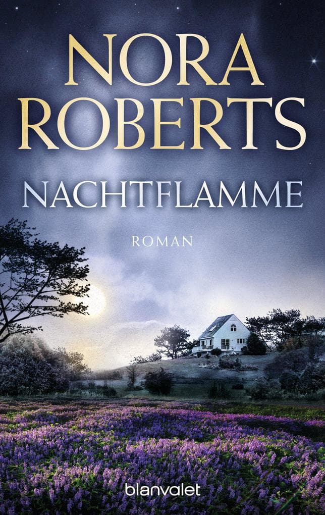 Nachtflamme: Roman