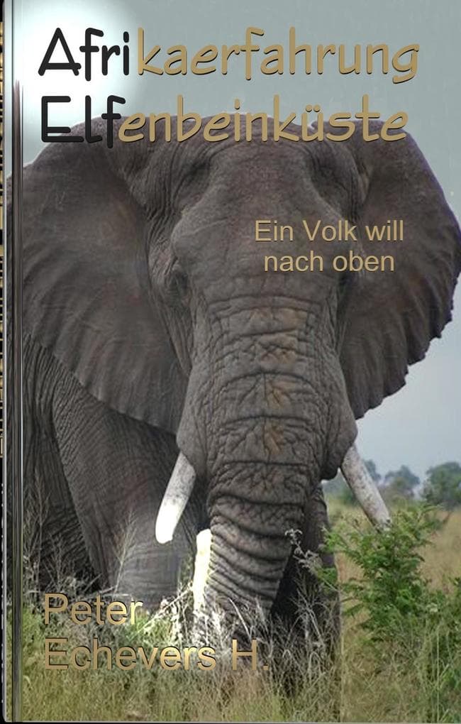Afrikaerfahrung Elfenbeinkueste