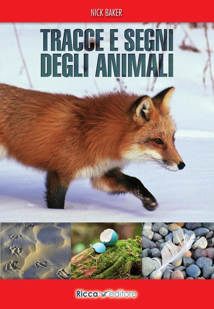 Tracce e segni degli animali