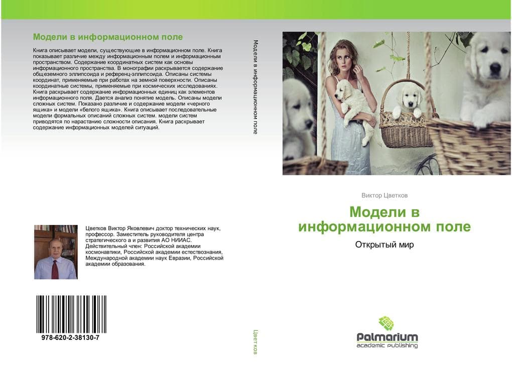 Modeli w informacionnom pole