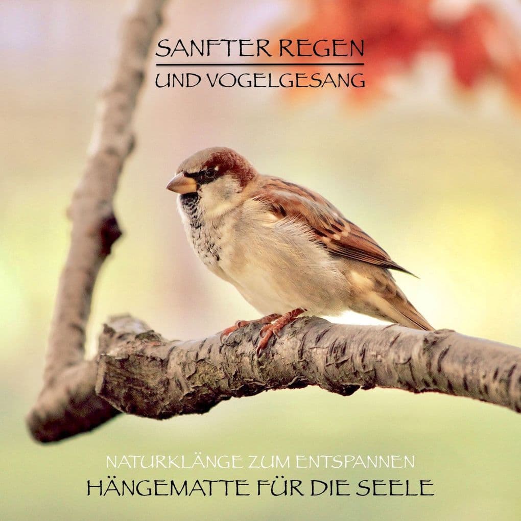 Sanfter Regen und Vogelgesang Naturklänge zum Entspannen
