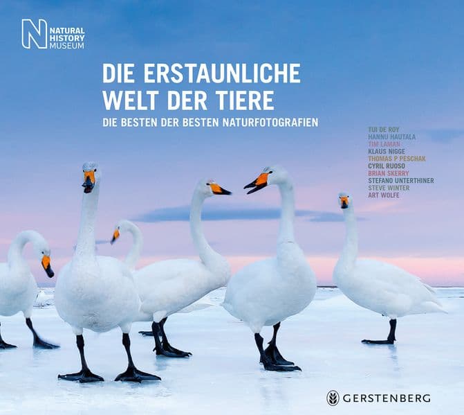 Die erstaunliche Welt der Tiere