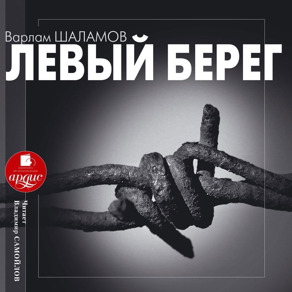 Levyj bereg