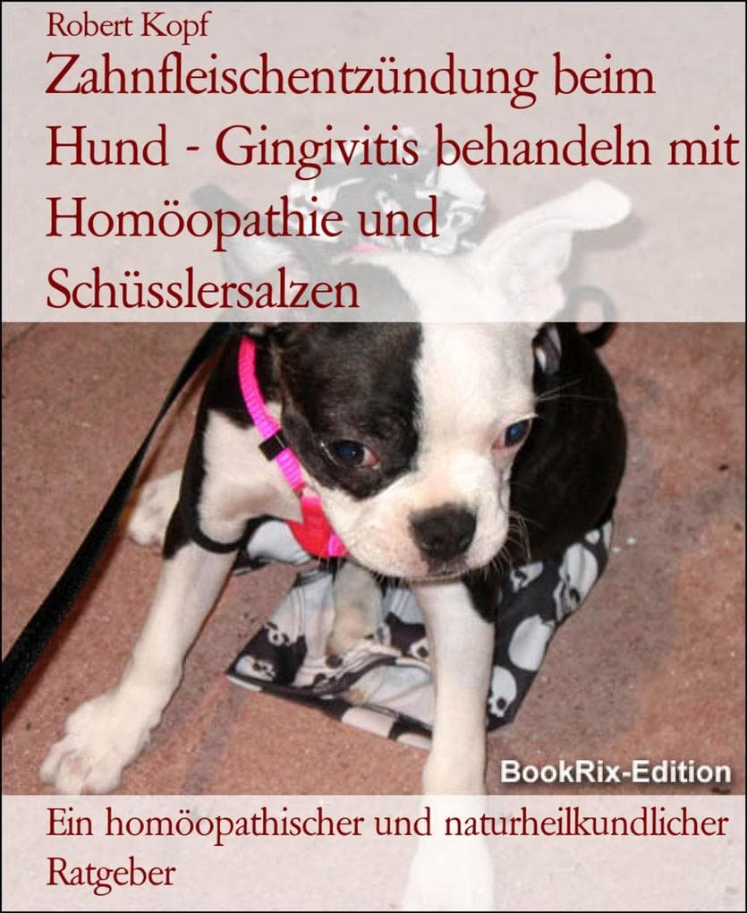 Zahnfleischentzündung beim Hund - Gingivitis behandeln mit Homöopathie und Schüsslersalzen