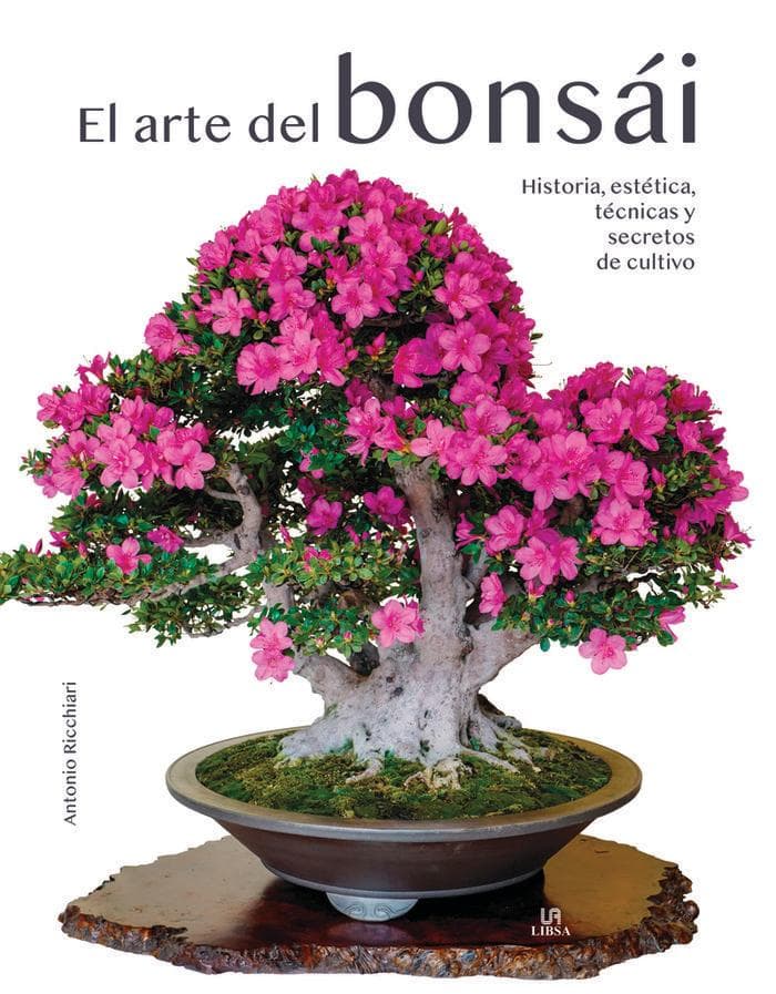 El Arte del Bonsái: Historia, Estética, Técnicas y Secretos de Cultivo