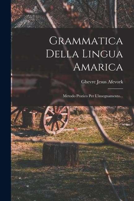 Grammatica Della Lingua Amarica: Metodo Pratico Per L'insegnamento...