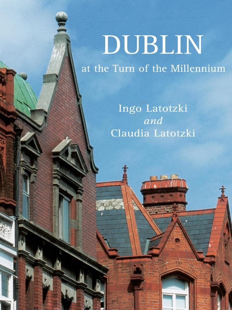 Dublin at the Turn of the Millennium