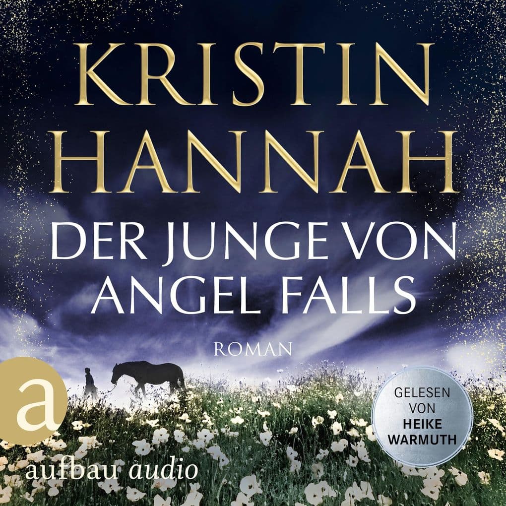 Der Junge von Angel Falls