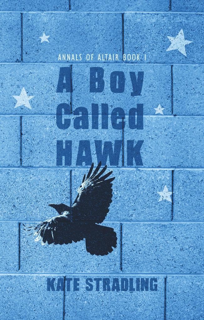 A Boy Called Hawk (Annals of Altair, #1)