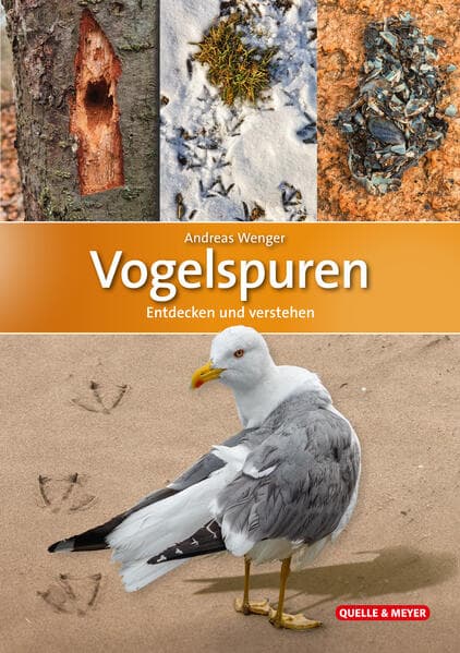 Vogelspuren