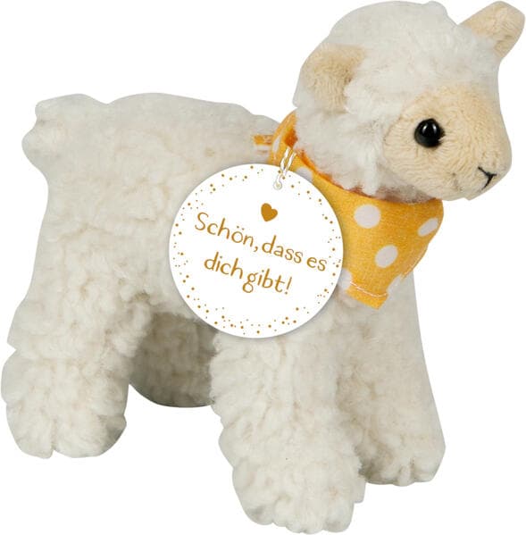 Plüschlamm - Schön, dass es dich gibt!