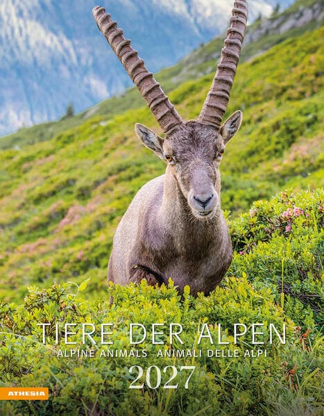 Tiere der Alpen - Kalender 2027