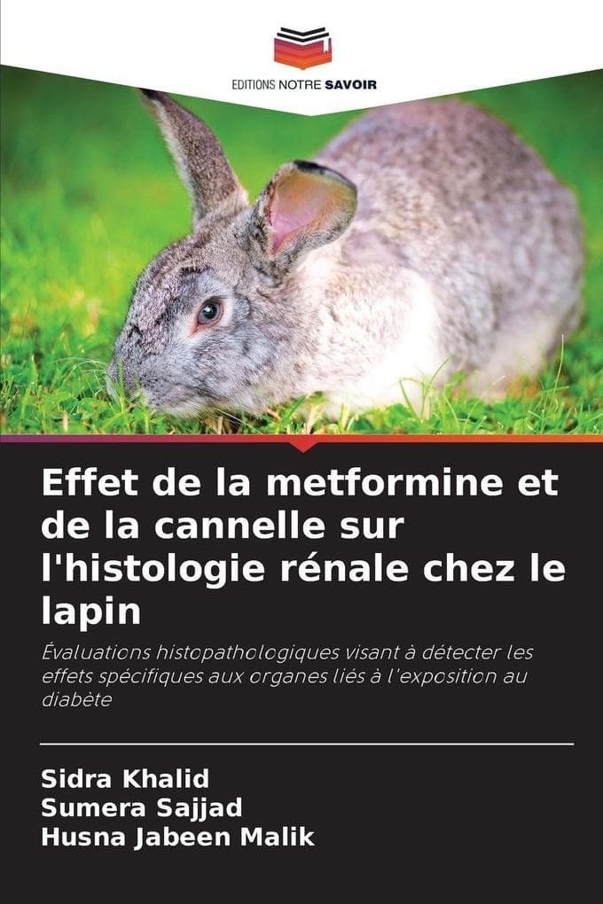 Effet de la metformine et de la cannelle sur l'histologie rénale chez le lapin