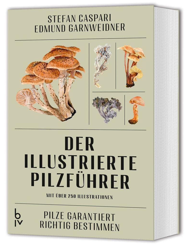 Der illustrierte Pilzführer
