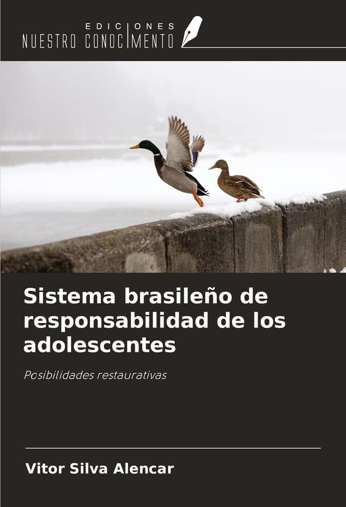 Sistema brasileño de responsabilidad de los adolescentes