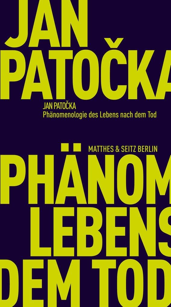 Phänomenologie des Lebens nach dem Tod