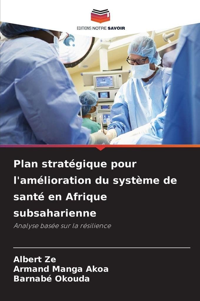 Plan stratégique pour l'amélioration du système de santé en Afrique subsaharienne