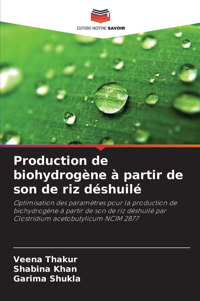Production de biohydrogène à partir de son de riz déshuilé