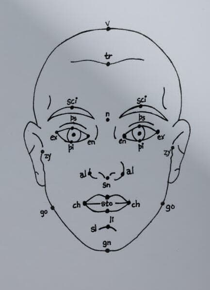 Megan Williams, Sheung Yiu: (Inter)Faces of Predictions