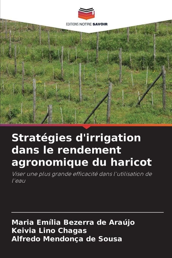 Stratégies d'irrigation dans le rendement agronomique du haricot