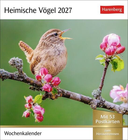 Heimische Vögel Postkartenkalender 2027 - Wochenkalender mit 53 Postkarten