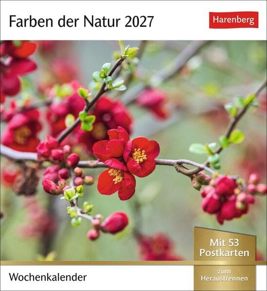 Farben der Natur Postkartenkalender 2027 - Wochenkalender mit 53 Postkarten