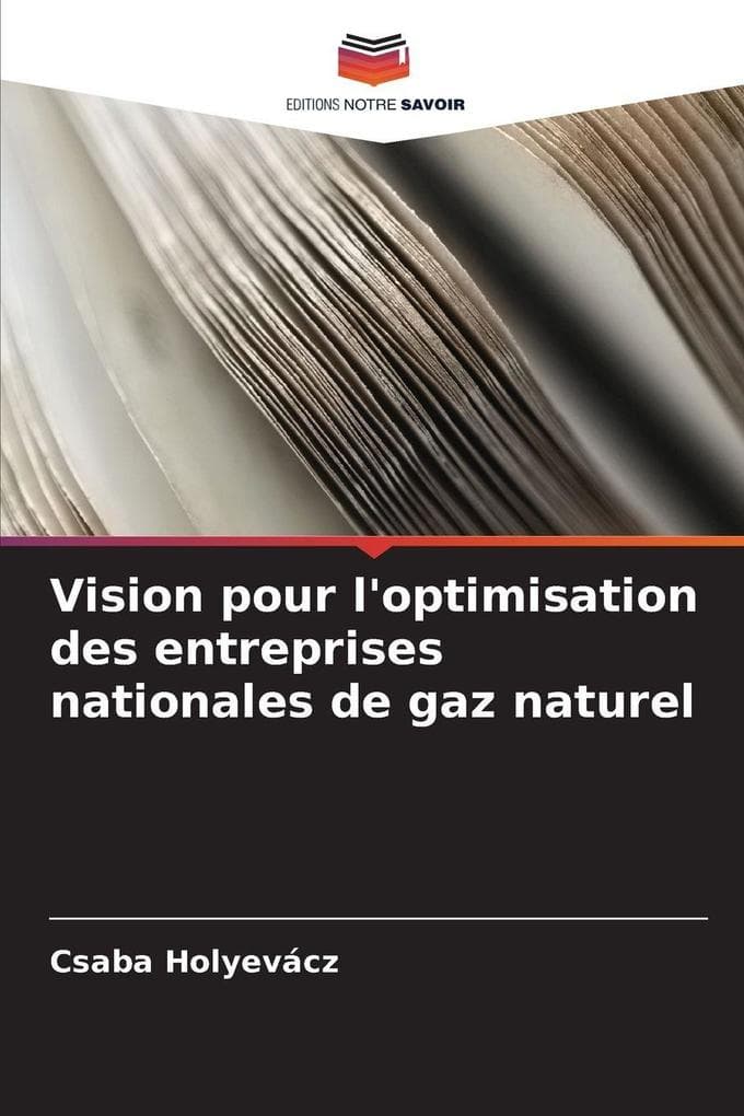 Vision pour l'optimisation des entreprises nationales de gaz naturel