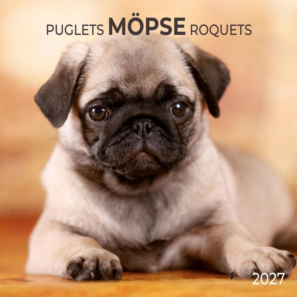 Möpse / Puglets 2027