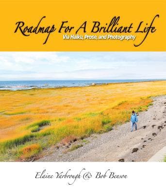 ROADMAP FOR A BRILLIANT LIFE