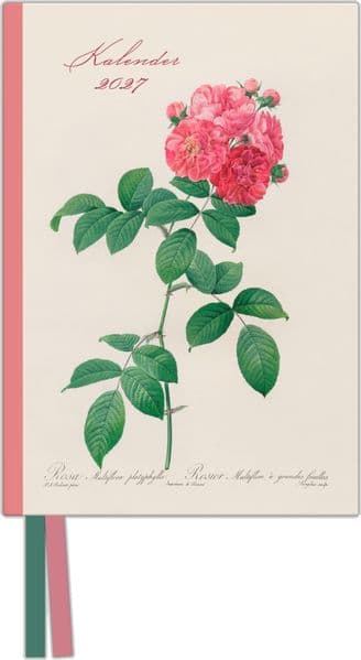 Redoutes Rosen 2027