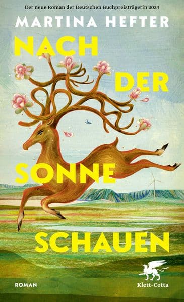 Nach der Sonne schauen