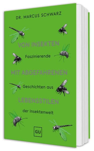 Von Insekten mit abgefahrenen Lebensstilen
