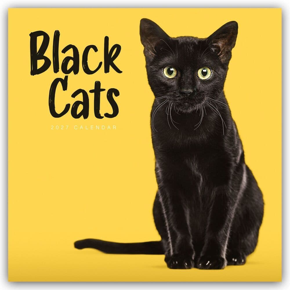 Black Cats - Schwarze Katzen 2027 - Wand-Kalender