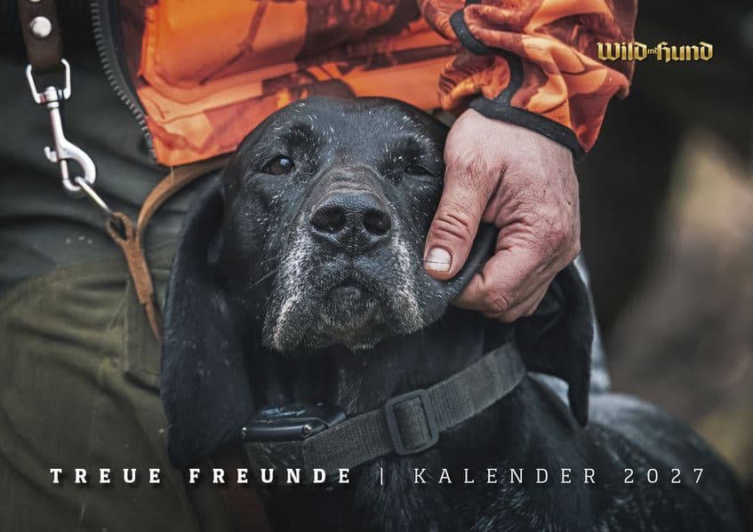 WILD UND HUND Edition: Treue Freunde Kalender 2027