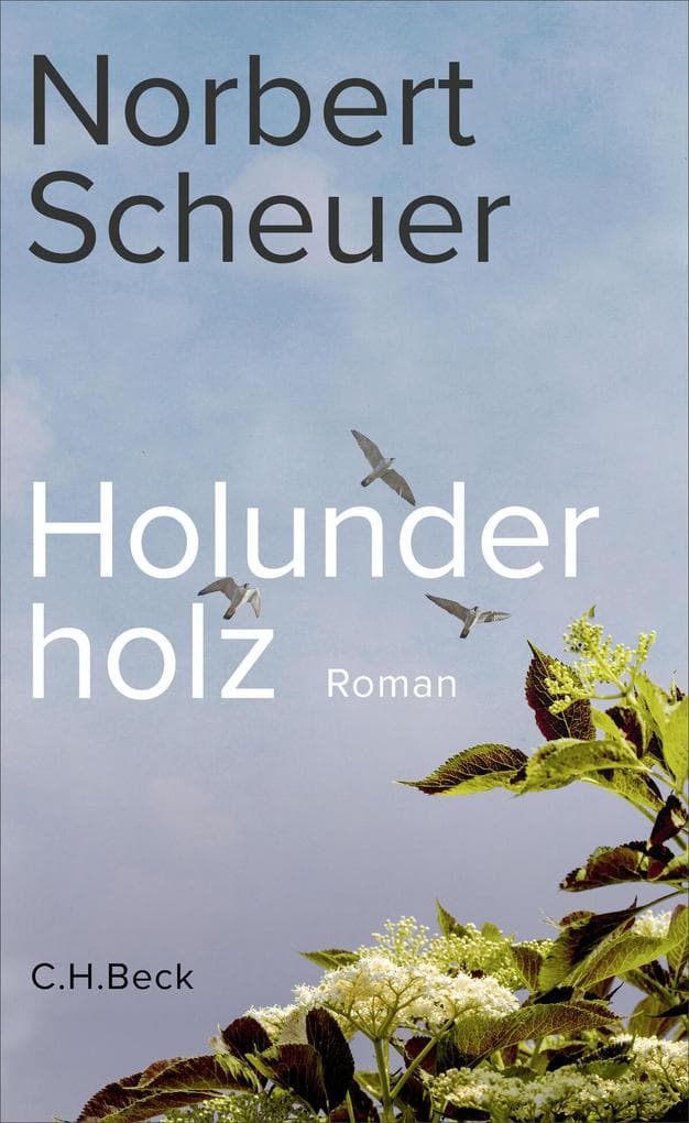 Holunderholz