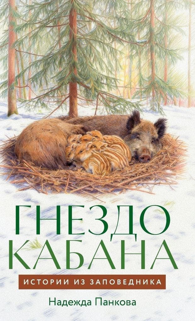 Гнездо кабана