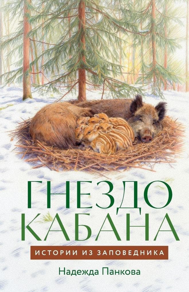 Гнездо кабана