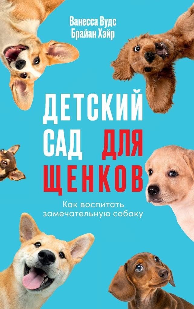 Детский сад для щенков