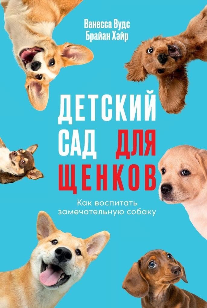 Детский сад для щенков