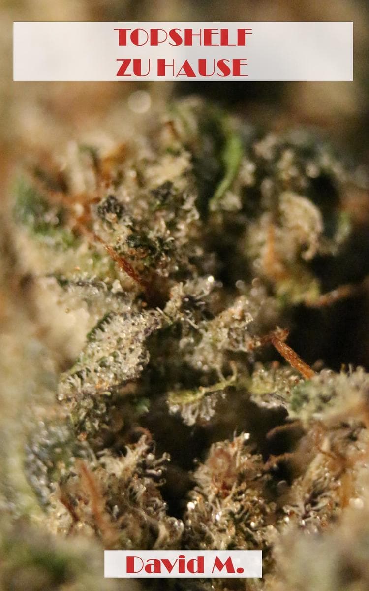 Topshelf zu Hause