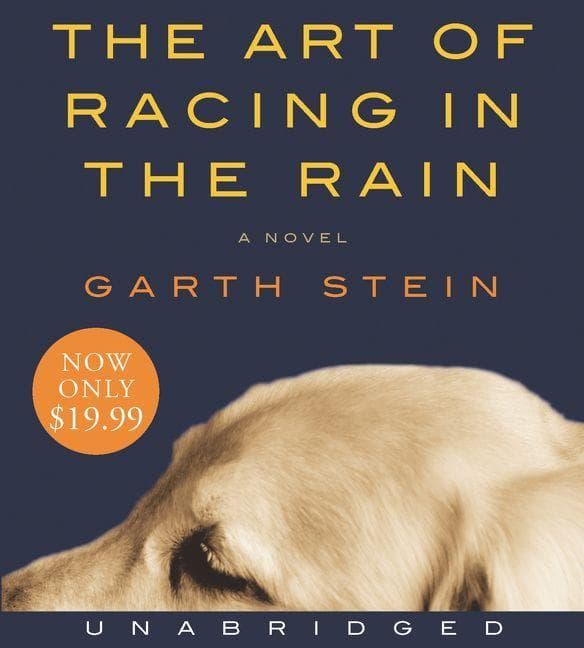 The Art of Racing in the Rain