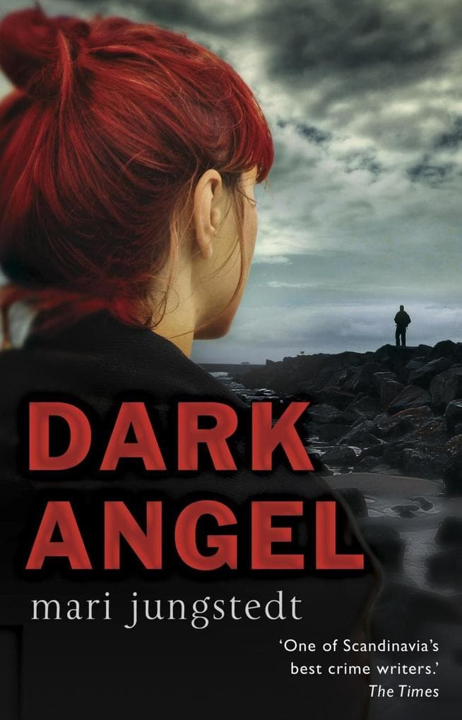 Dark Angel: Anders Knutas series 6